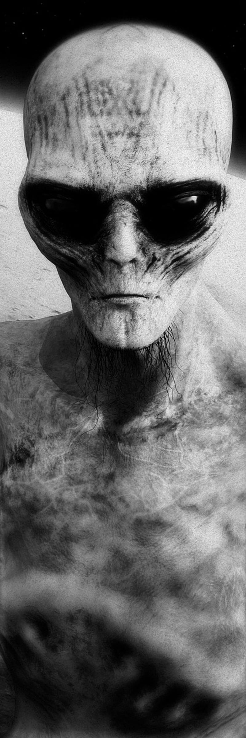 Reptilian Alien